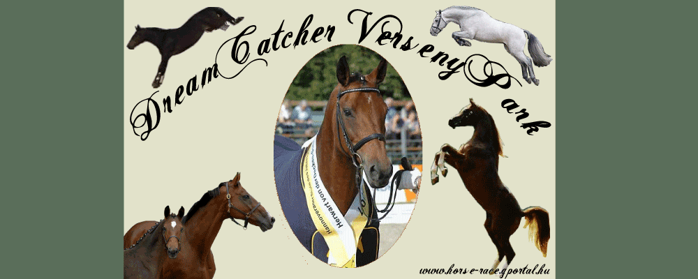 Horse-Race -> Dreamcatcher VersenyPark